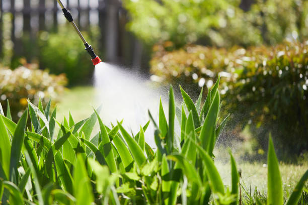 24/7 Emergency Wasp Removal experts in Milford, NE